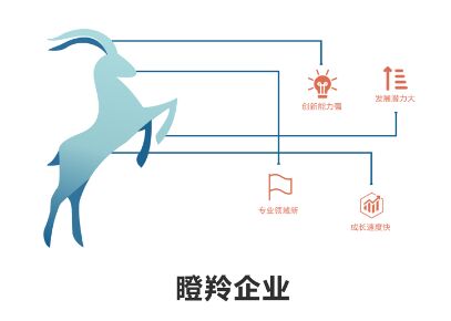 青岛出台瞪羚企业奖补政策，一次性奖励50万！